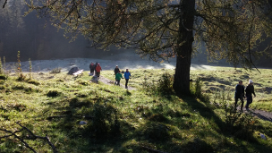 Mit einer Gruppe Nordic Walking aus einem Wald kommend in der Früh